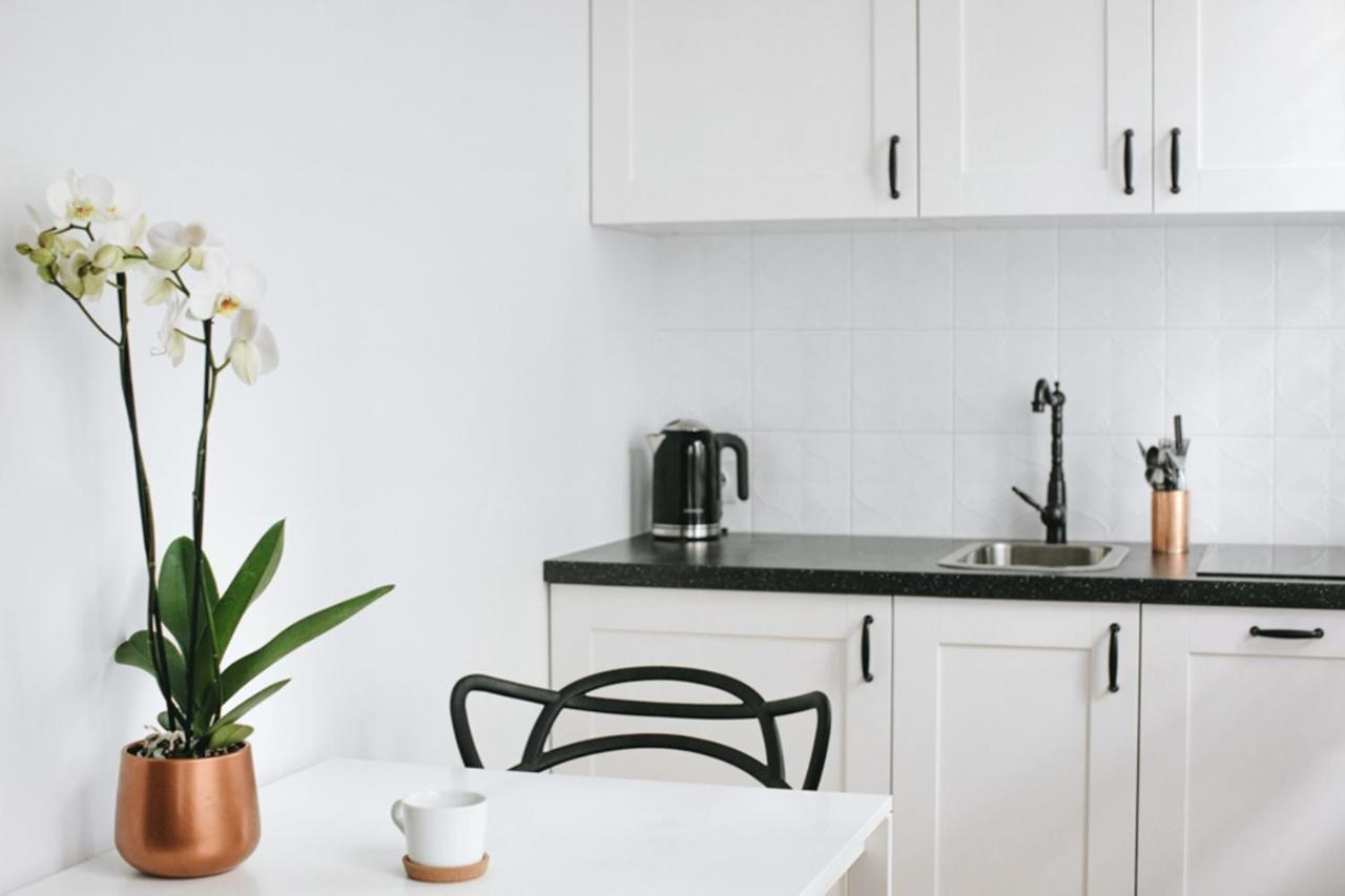 Sunny Apartment W Centrum Starego Miasta 그단스크 외부 사진